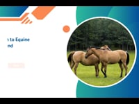 Equine Behaviour &amp; Psychology