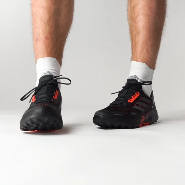 adidas Terrex Agravic Flow 2 GTX Men | 21RUN