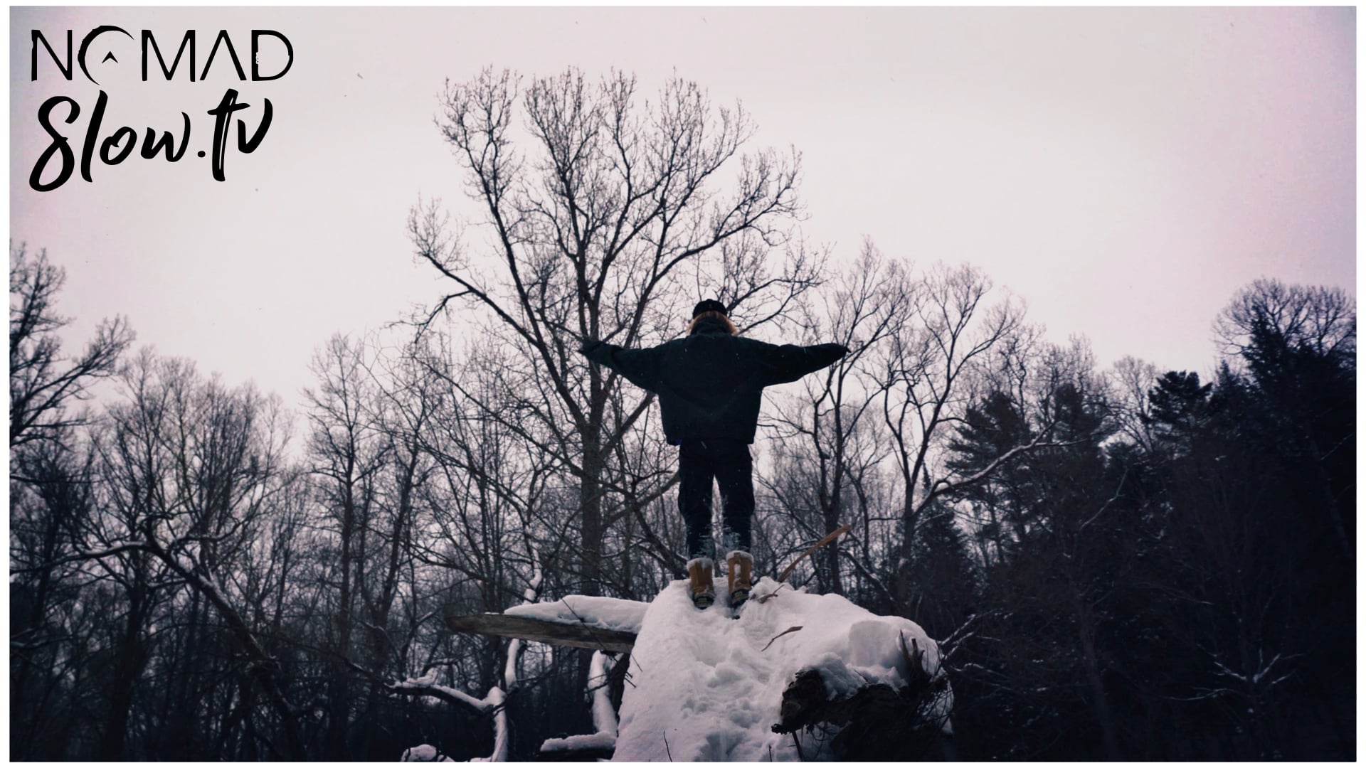 Piano Notes in Winter Woods