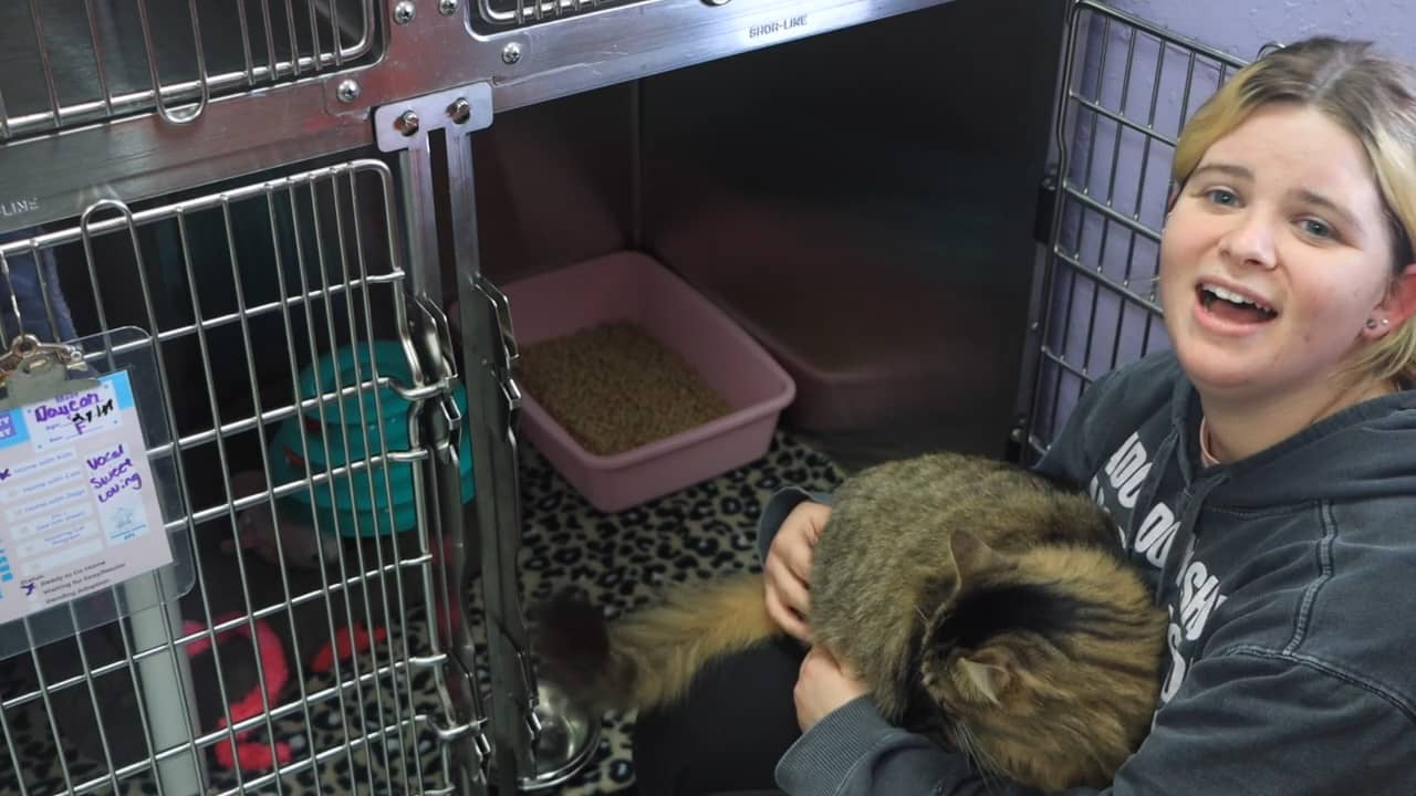 Ashtabula County Animal Protective League Pick Your Next Pet 2123 on