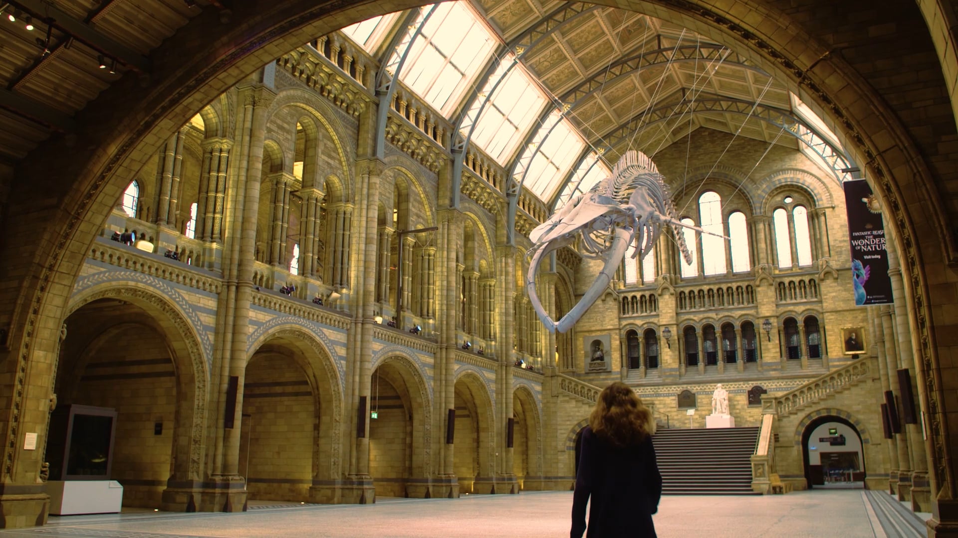 The First Britons - Natural History Museum (clip)