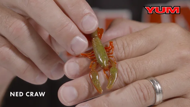 YUM Ned Craw 2 1/2 inch Ned Rig Soft Bait — Discount Tackle
