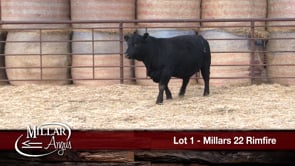 Lot #1 - MILLARS 22 RIMFIRE