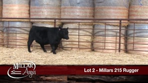 Lot #2 - MILLARS 215 RUGGER