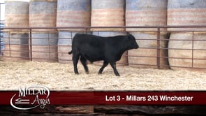 Lot #3 - MILLARS 243 WINCHESTER