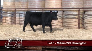 Lot #5 - MILLARS 223 REMINGTON