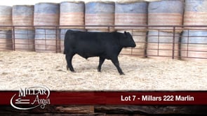 Lot #7 - MILLARS 222 MARLIN