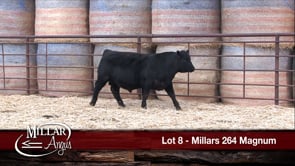 Lot #8 - MILLARS 264 MAGNUM