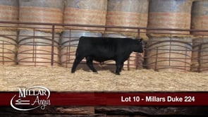Lot #10 - MILLARS DUKE 224