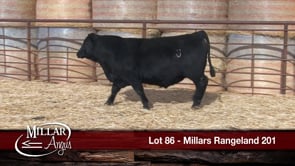 Lot #86 - MILLARS RANGELAND 201