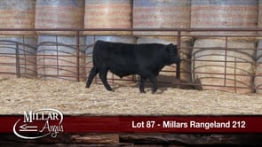 Lot #87 - MILLARS RANGELAND 212