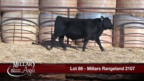 Lot #89 - MILLARS RANGELAND 2107