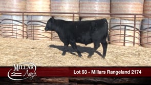 Lot #93 - *OUT -- MILLARS RANGELAND 2174