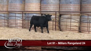 Lot #91 - MILLARS RANGELAND 24