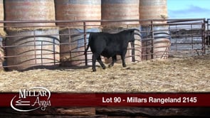 Lot #90 - MILLARS RANGELAND 2145