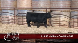 Lot #95 - MILLARS COALITION 267