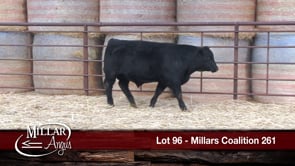 Lot #96 - MILLARS COALITION 261
