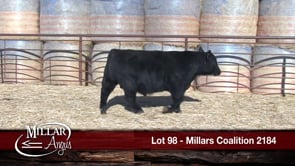Lot #98 - MILLARS COALITION 2184