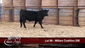 Lot #99 - MILLARS COALITION 258