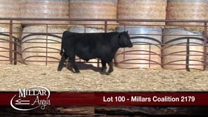 Lot #100 - MILLARS COALITION 2179