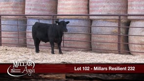 Lot #102 - MILLARS RESILIENT 232