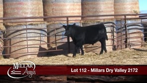 Lot #112 - MILLARS DRY VALLEY 2172