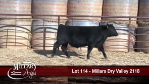 Lot #114 - MILLARS DRY VALLEY 2118