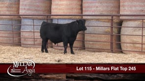 Lot #115 - MILLARS FLAT TOP 245