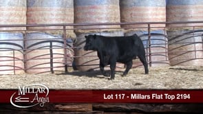 Lot #117 - MILLARS FLAT TOP 2194