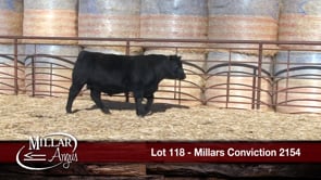 Lot #118 - MILLARS CONVICTION 2154
