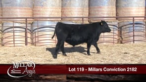 Lot #119 - MILLARS CONVICTION 2182