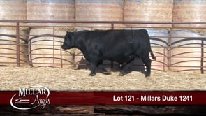 Lot #121 - MILLARS DUKE 1241