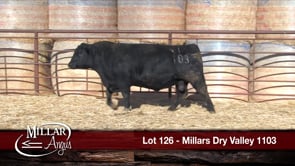 Lot #126 - *OUT -- MILLARS DRY VALLEY 1103