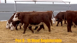 Lot #427 - Lot 427