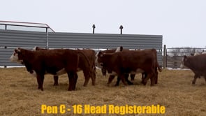 Lot #255 - Lot 255