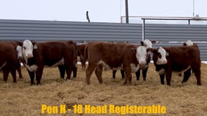 Lot #367 - Lot 367