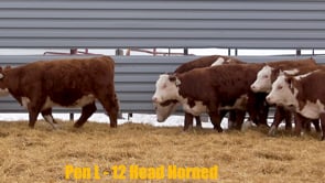 Lot #400 - Lot 400