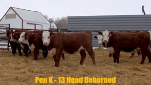 Lot #303 - Lot 303