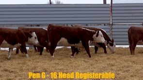 Lot #324 - Lot 324