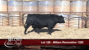 Lot #128 - MILLARS RENOVATION 1320