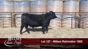 Lot #127 - MILLARS RAINMAKER 1605
