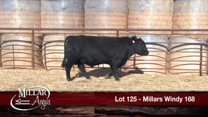 Lot #125 - MILLARS WINDY 168