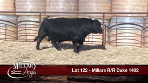 Lot #122 - *OUT -- MILLARS R/R DUKE 1402