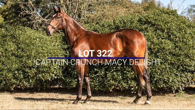 Lot 322
