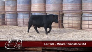 Lot #120 - MILLARS TOMBSTONE 251