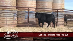 Lot #116 - MILLARS FLAT TOP 226