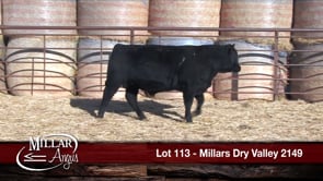 Lot #113 - MILLARS DRY VALLEY 2149