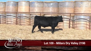 Lot #109 - MILLARS DRY VALLEY 2198