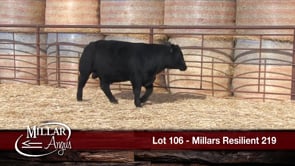 Lot #106 - MILLARS RESILIENT 219