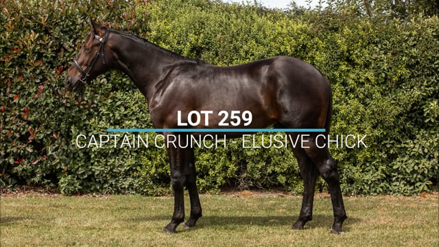 Lot 259
